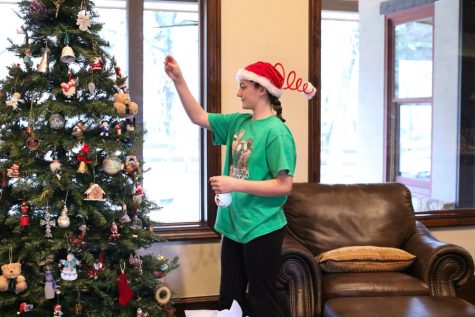 More Than Christmas Decorations