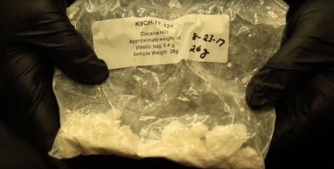 Random Drug Testing Returns