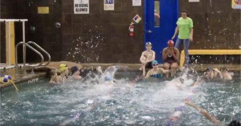 Haley Pacunas Swim Team