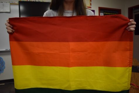 School Establishes GSA Club