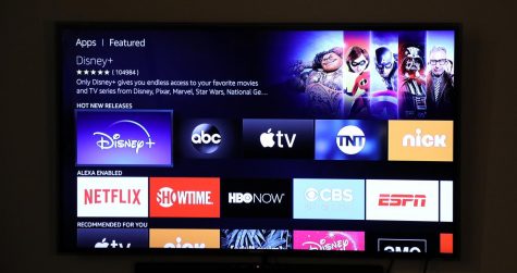 Multiple Streaming Platforms Defeats Purpose