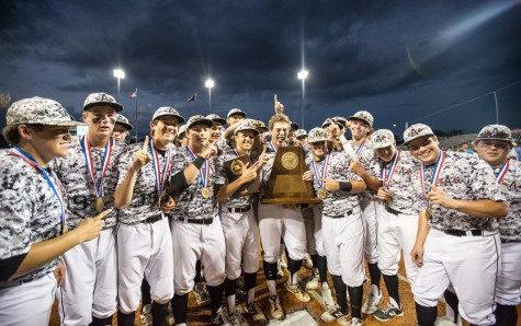 The Argyle Eagle baseball team celebrates their victory in the UIL State Championship Final against West Orange-Stark on June 11, 2015 at the UFCU Disch-Falk Field in Austin, Texas. (Chris Piel/The Talon News)