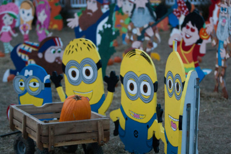 Wooden minion figures attract all their fans at the Flower Mound Pumpkin Patch on 10/28/15 in Flower Mound, Texas. (Photo by Micki Hirschhorn / The Talon News)