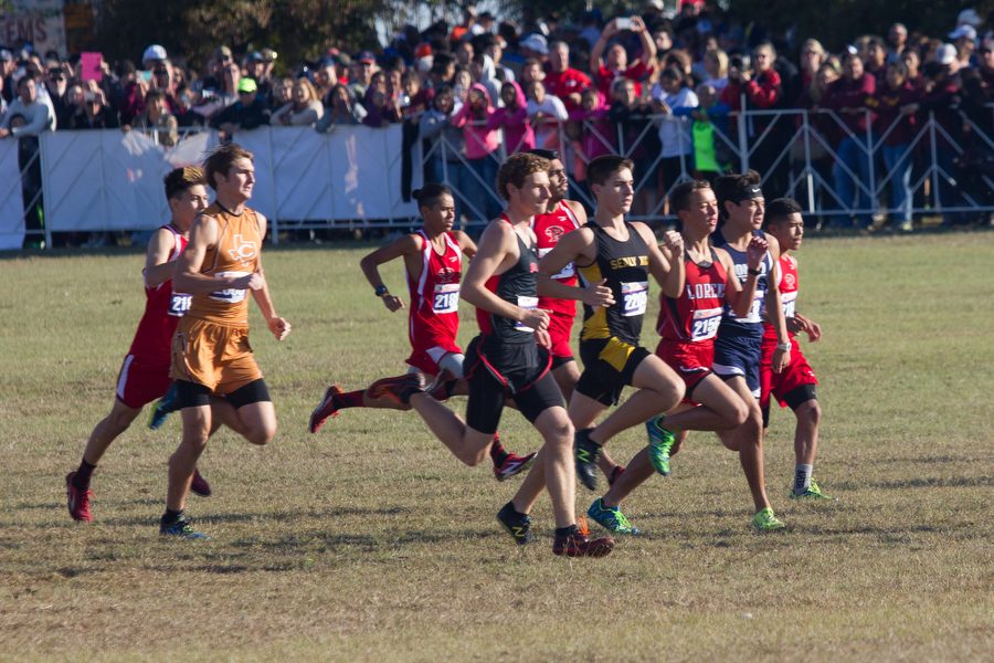 State Cross Country Old Settlers Park on 11/11/16 in Round Rock, Texas. (Connor Repp / The Talon News)