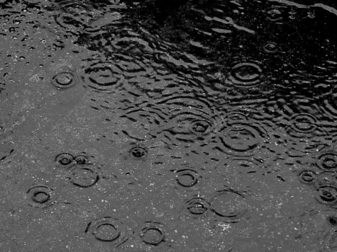 10 Things To Do on a Rainy Day