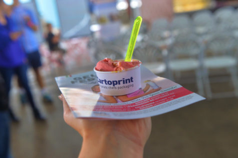 Inside Scoops on Turtle Gelateria