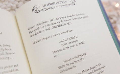 The Crimes of ‘The Crimes of Grindelwald’