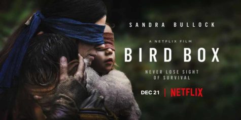‘Bird Box’ Soars in Popularity