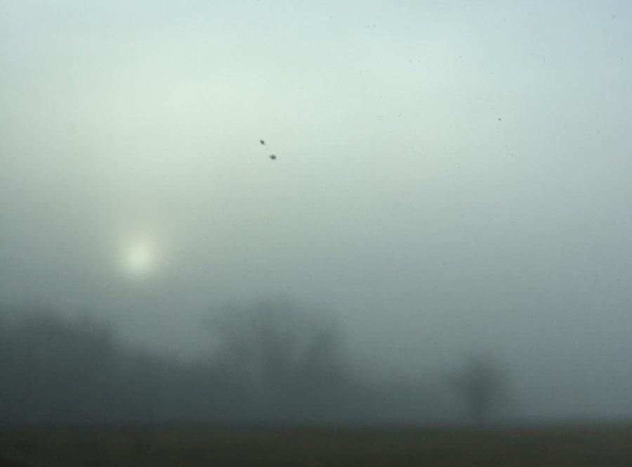 Fog In North Texas (Kristjan Feltes/ The Talon News)