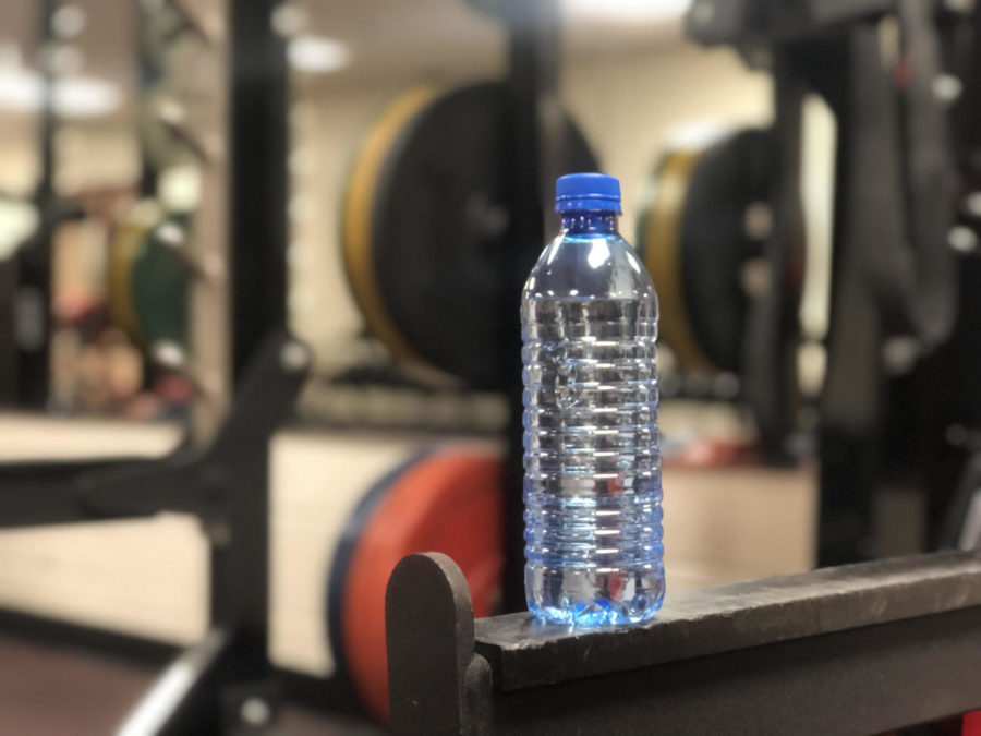 Drinking water and getting exercise are the two most important things to do to maintain a healthy lifestyle. (Lauren Metcalf/The Talon News) 