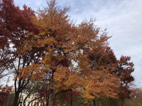 Growth in Spirit