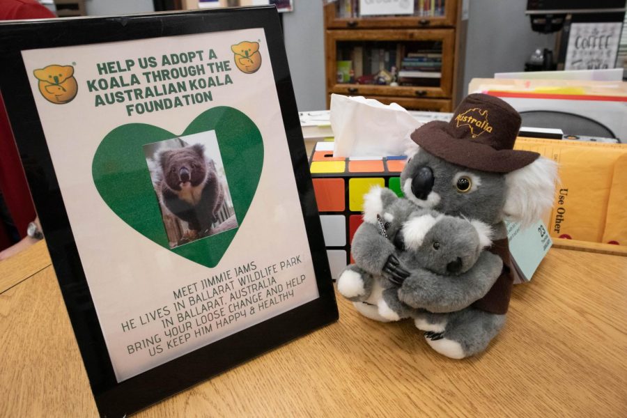 Students can help donate money to the Australian Koala Foundation in order to adopt a koala for one year and help with the environmental crisis in Australia. (Gracie Hurst / The Talon News)