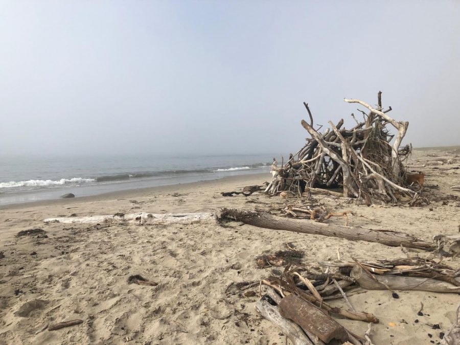 A log structure sits on a beach in Santa Barbara, Calif. on Aug. 3, 2019. (Jaclyn Harris | The Talon  News) 