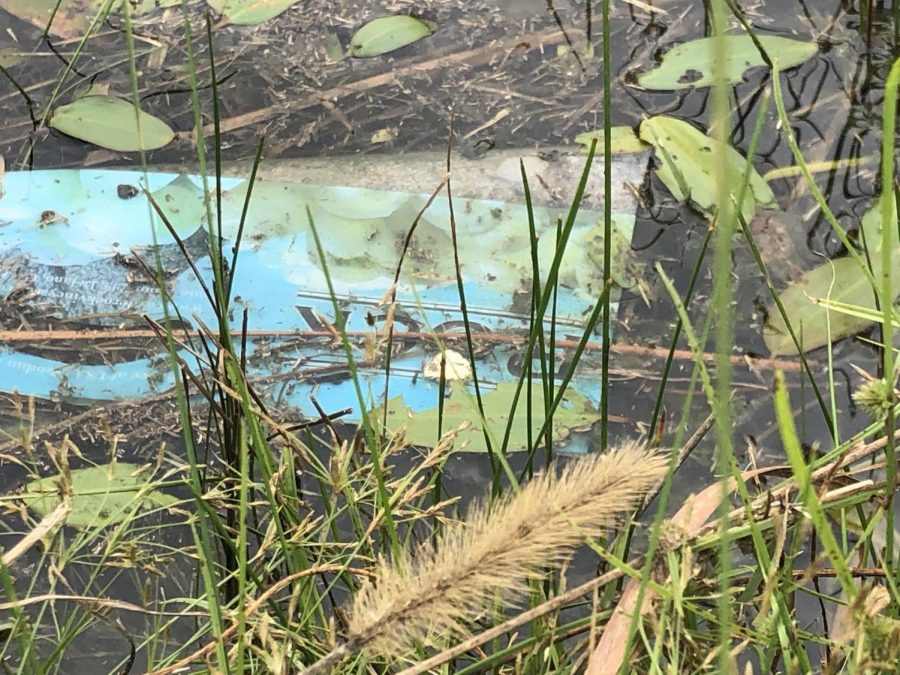 Pollution has become a big issue on the Argyle campus. (Stacy Short / The Talon News)