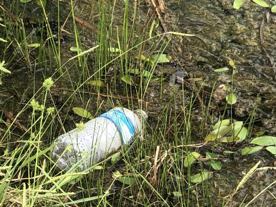 Pollution has become a big issue on the Argyle campus. (Stacy Short / The Talon News)