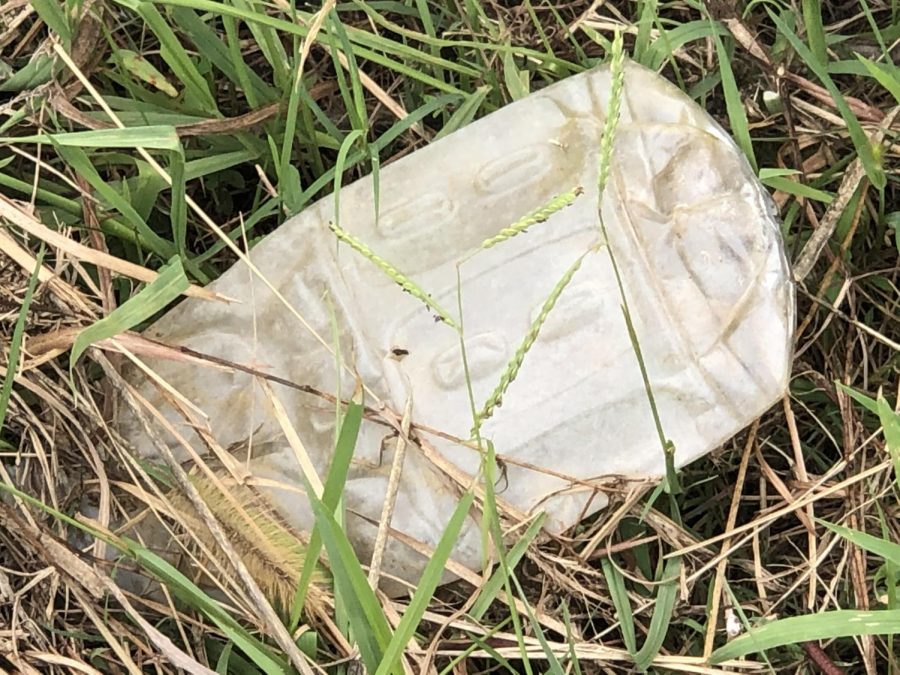 Pollution has become a big issue on the Argyle campus. (Stacy Short / The Talon News)