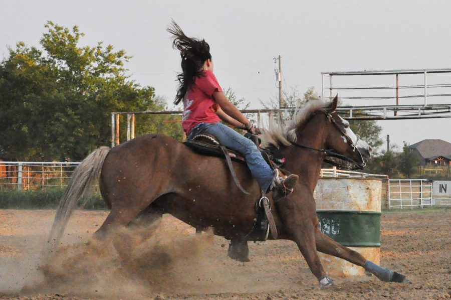 A rodeo team at Argyle would give more students a chance to show off their hobbies and talents. (The Talon News). 