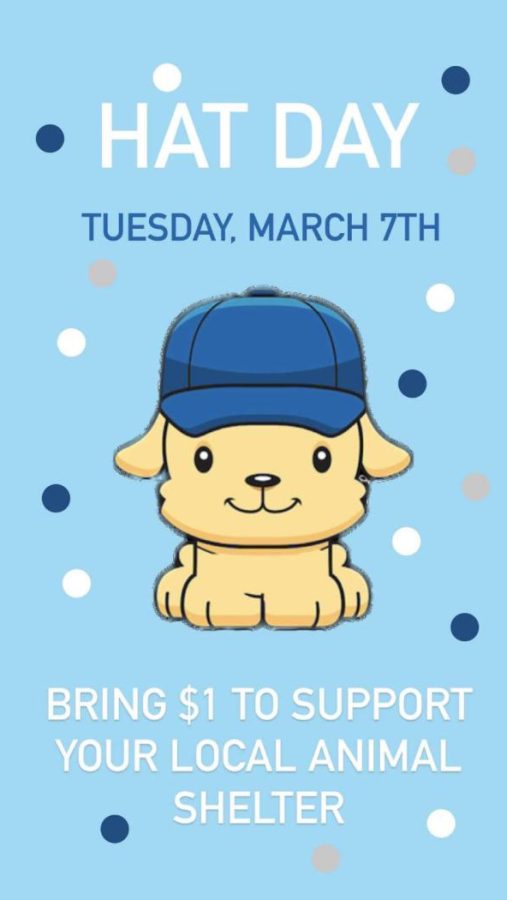 Student+Leadership+Hosts+Animal+Shelter+Fundraiser