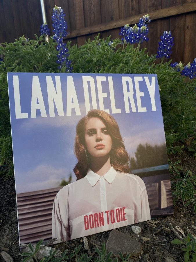 Lana Del Rey Born to Die vinyl with Blue Bonnets