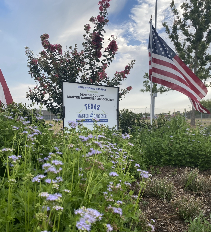 A Denton County Master Gardener Association sign, sponsoring a educational garden project in Unity Park. Taken on Sept. 2, 2023. 