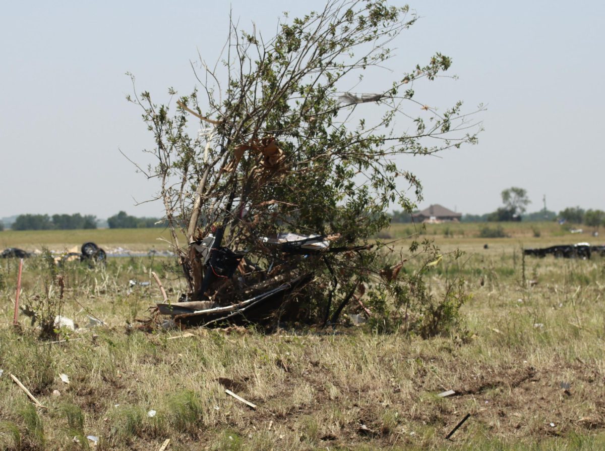 Debris from the truck stop is mangled in a nearby tree. Taken May 26, 2024. 