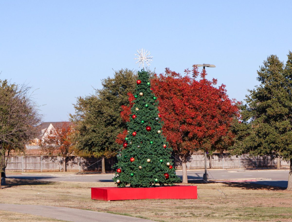 The Argyle Christmas Tree standing at the Argyle United Methodist Church. Taken Dec. 2, 2024. 